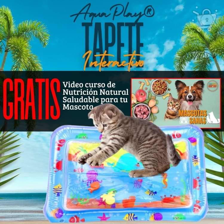 AquaPlay® - Tapete Interactivo para mascotas ¡Que empiece la diversión!